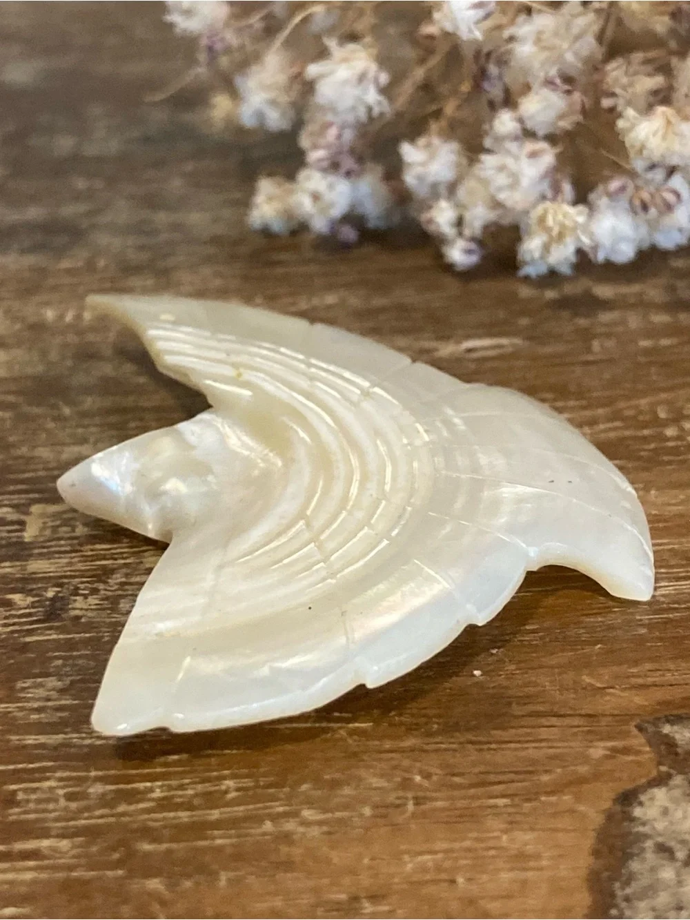 Bird Shaped Carved Shell Bead / Pendant 2 1/4” Long for Crafts or Jewelry Making